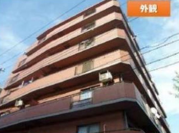 外観: