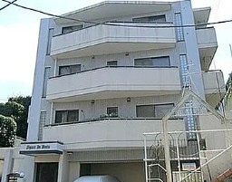外観: