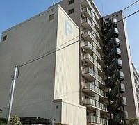 その他: