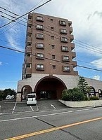 その他: