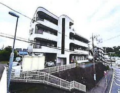 外観:
