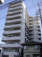 その他: