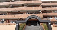 その他: