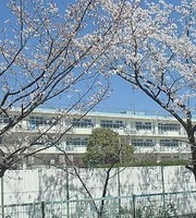 その他: