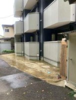 その他: