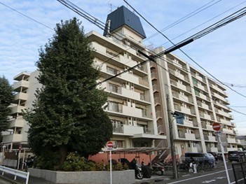 外観: