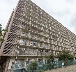 外観: