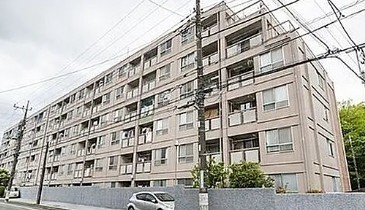 外観: