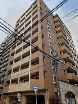 外観: