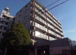 外観: