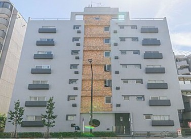 外観: